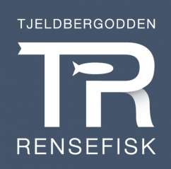 TJELDBERGODDEN RENSEFISK
